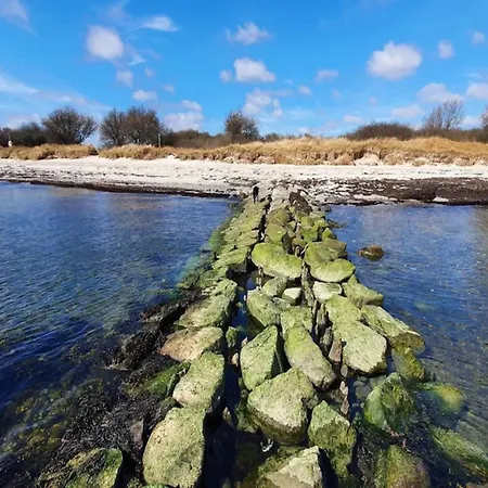 Luxury Retreat With Pool - By Traum 別荘 Bøtø By