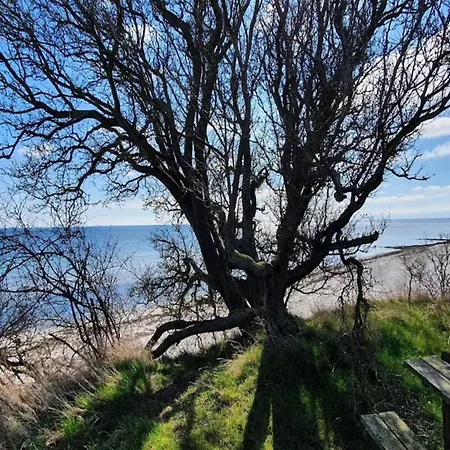 Luxury Retreat With Pool - By Traum * Bøtø By