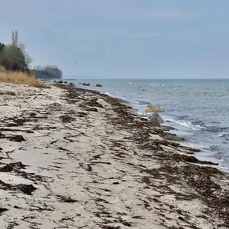 Luxury Retreat With Pool - By Traum *