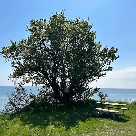 Luxury Retreat With Pool - By Traum 別荘 *