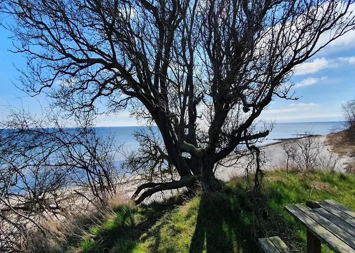 Luxury Retreat With Pool - By Traum * Bøtø By