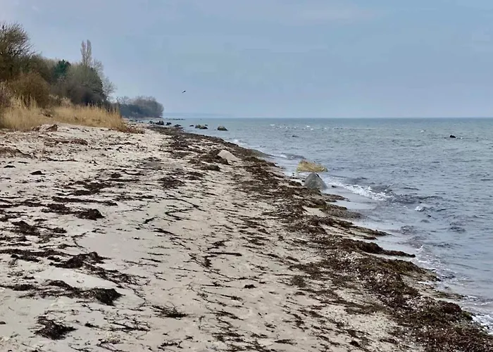 Luxury Retreat With Pool - By Traum *